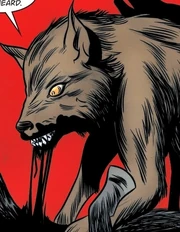 Darien in wolf form at the North Wind's castle