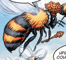 Fairest 30 Queen Bee