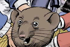 JOF27 The Dormouse