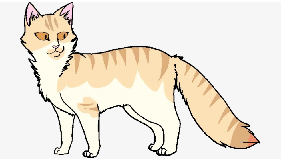 Коты воители модели. Коты Воители окрасы Вики. Коты Воители Златолапка. Коты Воители окрасы модели. Окрасы котов воителей кремовые
