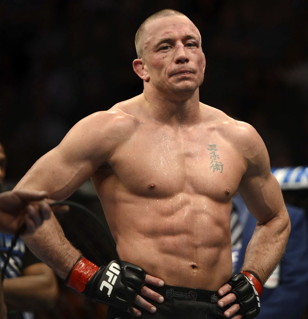 Georges St. Pierre | Faces vs. Heels CAW Wiki | Fandom