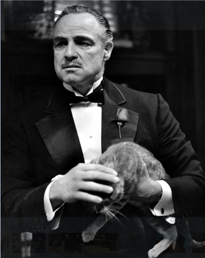 Vito Corleone | Fact and Fiction Wiki | Fandom