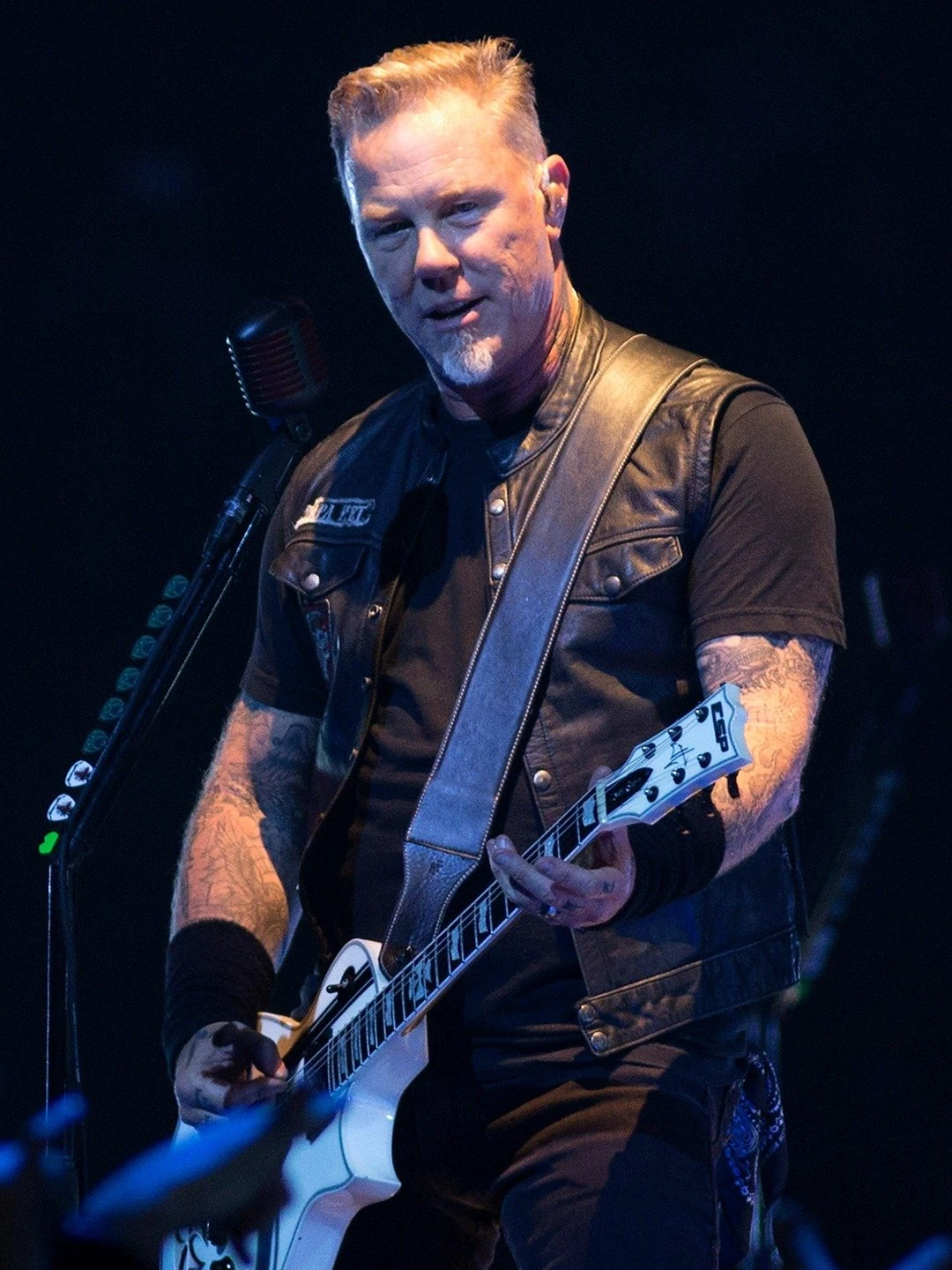 James Hetfield Fact and Fiction Wiki Fandom