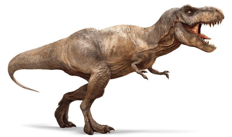 Tyrannosaurus, Dinosaur Wiki