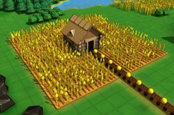 Grain farm.jpg