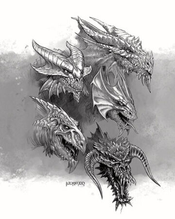 Drachen Faerunpedia Fandom