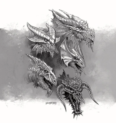 Drachen Faerunpedia Fandom