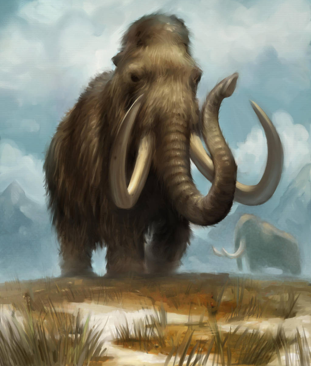 Мамонт Mammuthus primigenius