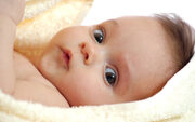 Cute-babies-wallpaper-8-1024x640