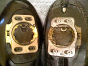 New vs. Old-2952