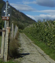 Ausgeschilderter Radwanderweg im Vinschgau