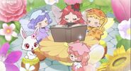 Sumire, Himawari, Rose, Lip, and Ruby