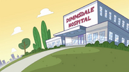 Dimmsdale Hospital