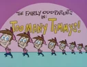 The Timmy-Team
