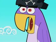 OddPirates173.jpg