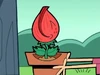 The Seemingly Harmless Plant