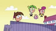 Fairlyoddpet636