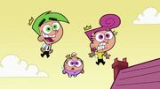 Fairlyoddpet634