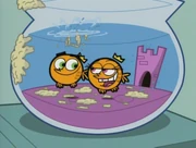 Apartnership-447.jpg (84 KB)