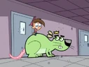 Rat (Abra-Catastrophe!)