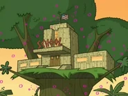 Jungle version of School