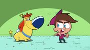 Fairlyoddpet329