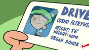 Cosmo Driver's License from "Turning Into Turner"