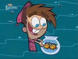 Timmy Turner Images Ruled Out Fairly Odd Parents Wiki Fandom Timmy Turner Images Ruled Out Fairly Odd Parents Wiki Fandom