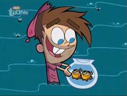 Timmy Turner Images Ruled Out Fairly Odd Parents Wiki Fandom