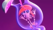 Vicky skeleton