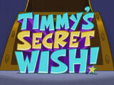 Timmy's Secret Wish!