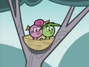 Cosmo and Wanda watch Timmy as two birds