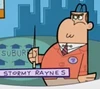 Stormyraynes