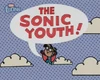The Sonic Youth