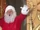 Santa Claus/Images/A Fairly Odd Christmas