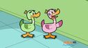 Duck (Lame Ducks)