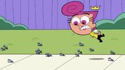 Fairlyoddpet364