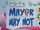 Mayor May Not