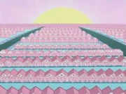 The entirety of Dimmadome Acres.