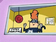 Principal Waxelcat