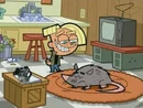 Chester about to take his pet possum off of the rug.