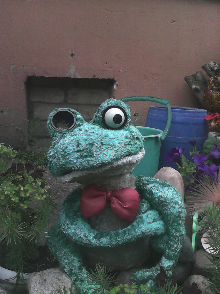 Plush Froggy, FKoKFII