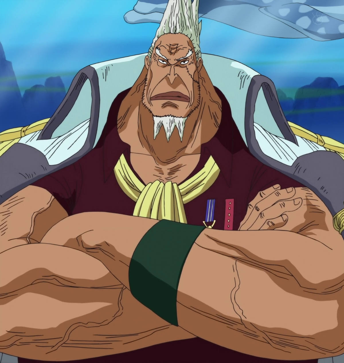 Admiral, One Piece Wiki