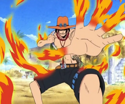 One Piece Anime Ace Sabo Devil Fruit Mera Mera No Mi Fire 