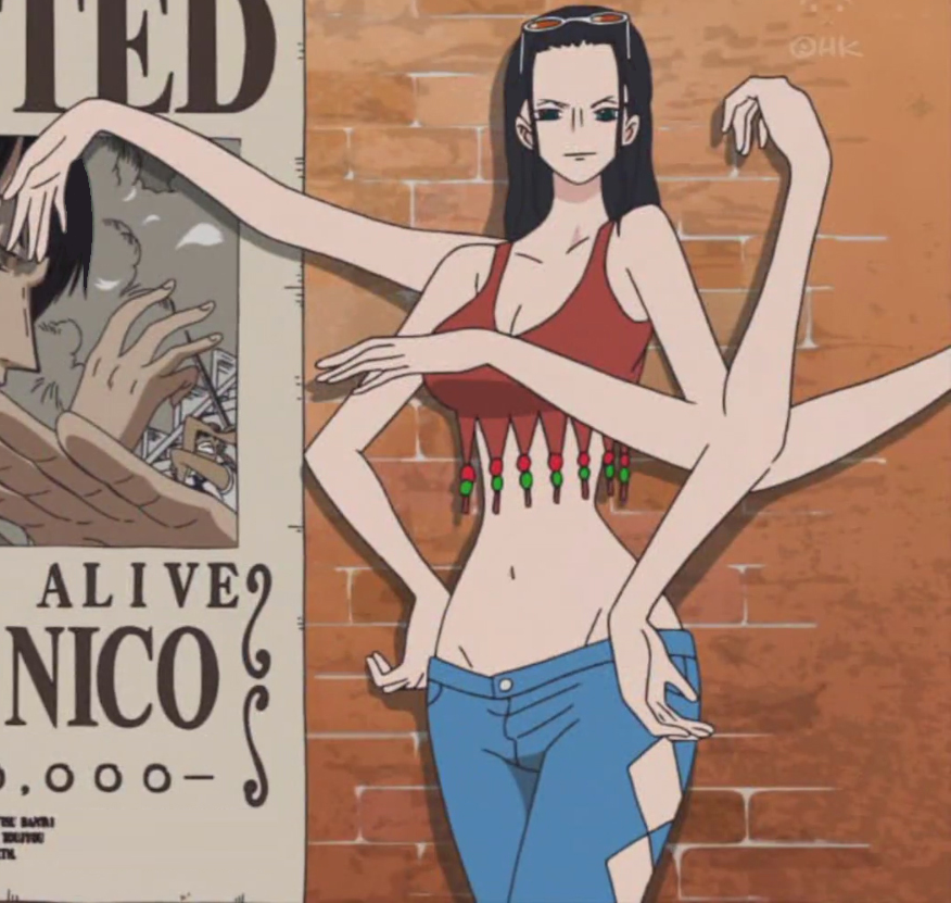 One Piece Nico Robin Flower Flower Fruit - hana hana no mi