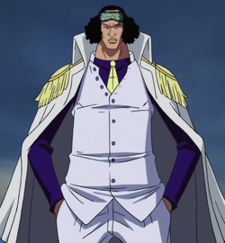 Kuzan The Fairy One Piece Tail Universe Wiki Fandom