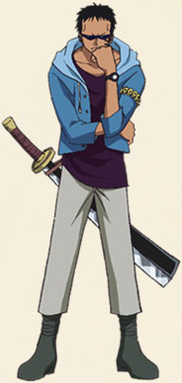 Zoro Roronoa, The Fairy One Piece Tail Universe Wiki