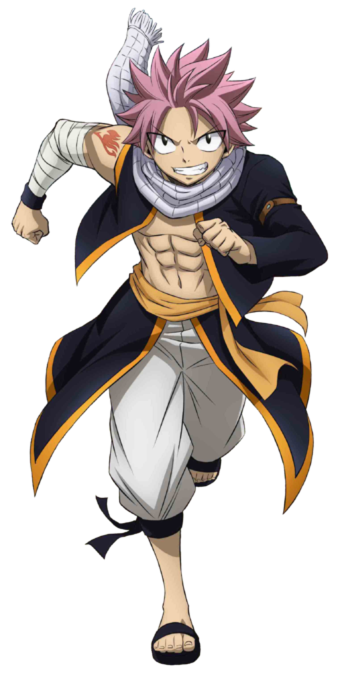 Natsu Dragneel Fairy One Piece Tail Version 2 0 Wiki Fandom