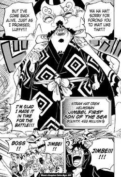 One Piece Chapter 976 Fairy Tail And One Piece Universe Database Wiki Fandom One Piece Chapter 976 Fairy Tail And One Piece Universe Database Wiki Fandom