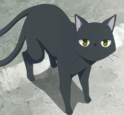 Kuromi (Nekomata)